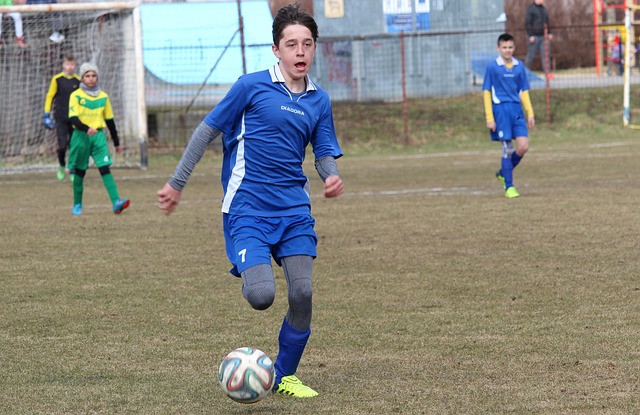 人们看到了 人们看到了