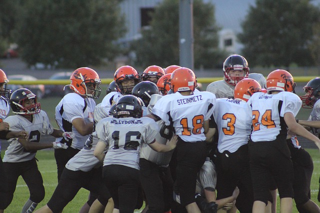 這類例子雖 這類例子雖