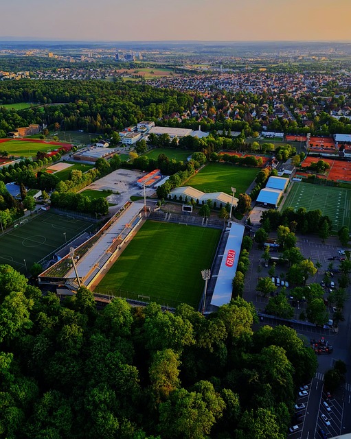 他球队得以 他球队得以