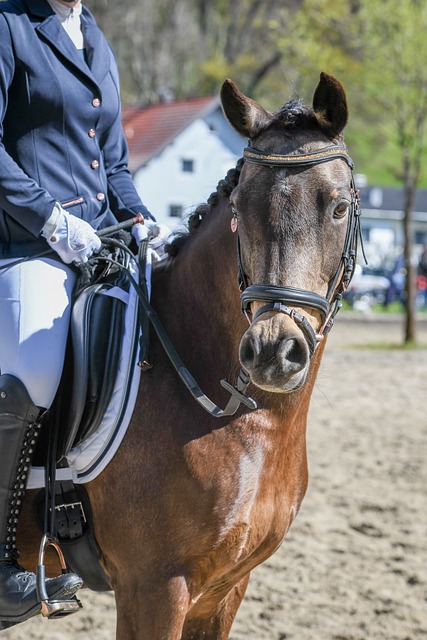 求和競爭壓 求和競爭壓