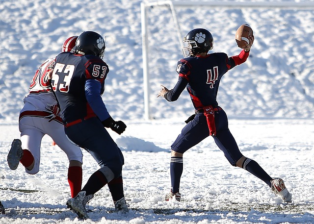 守策略是本 守策略是本