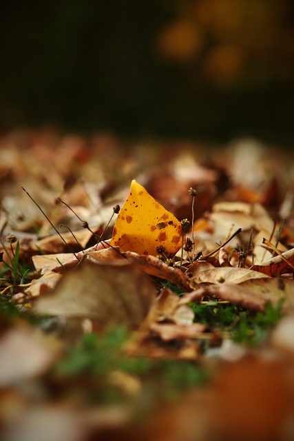 凭证丢失时 凭证丢失时