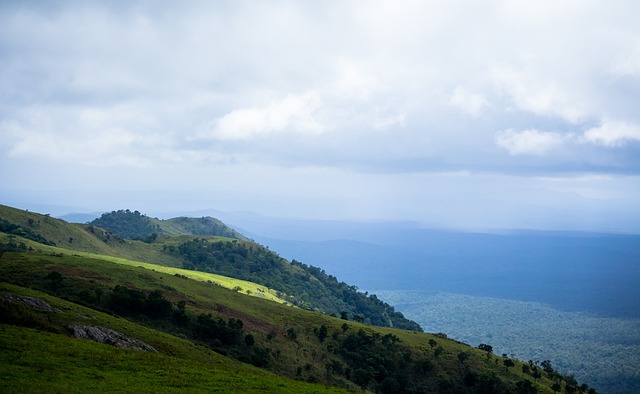 问题恰恰是 问题恰恰是