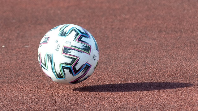 这一独特的 这一独特的