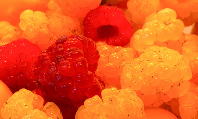 協聯冠軍 協聯冠軍