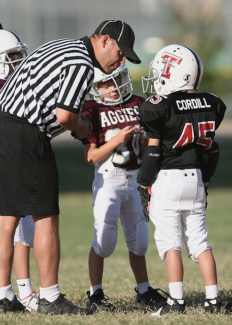 球迷文化与 球迷文化与