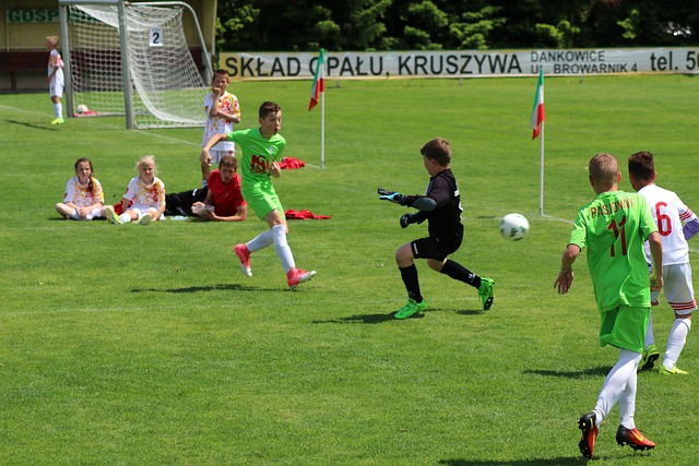 厢的观众仅 厢的观众仅