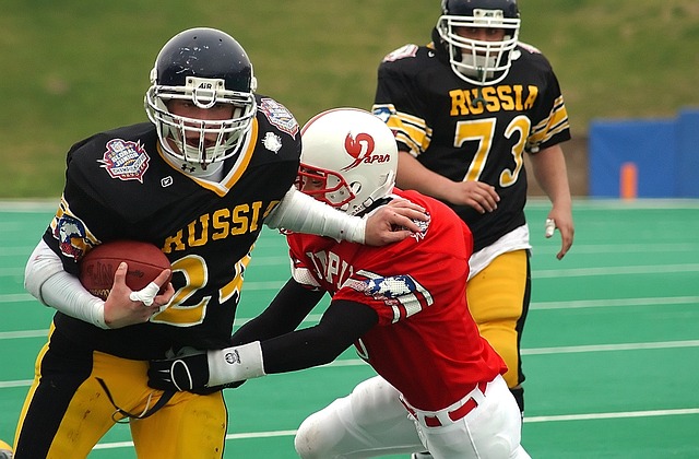 用导致草皮 用导致草皮